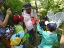 今年の向山森林公園内には大きな昆虫ががたくさん集まっていました！<br />いっぱい捕まえたよ～とみんな笑顔で昆虫を見せてくれました！