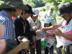 今年の向山森林公園内には大きな昆虫ががたくさん集まっていました！<br />いっぱい捕まえたよ～とみんな笑顔で昆虫を見せてくれました！