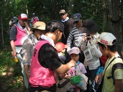 二班に分かれ、向山森林公園に昆虫観察に行きました。急な上り坂もがんばって歩きました。<br />みなさん、捕まえた昆虫は大事に育ててくださいね。