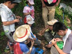 二班に分かれ、向山森林公園に昆虫観察に行きました。急な上り坂もがんばって歩きました。<br />みなさん、捕まえた昆虫は大事に育ててくださいね。