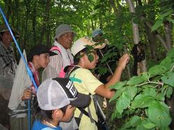 二班に分かれ、向山森林公園に昆虫観察に行きました。急な上り坂もがんばって歩きました。<br />みなさん、捕まえた昆虫は大事に育ててくださいね。