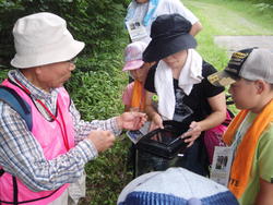 向山森林公園の山をのぼり、いざ昆虫探しへ！どんな昆虫が見つけられたかな？<br />かぶとむしやクワガタなど人気の昆虫が見つかると歓声をあげて喜んでいました。