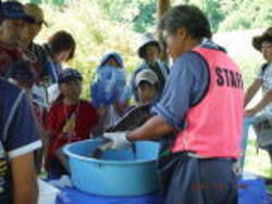 さくら湖に住むお魚は何を食べているのかな？実際にお腹をひらいて見てみよう！<br />植物が生きるためにも水が必要です。木の中の水の流れる音を聞いてみました！