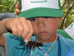 三春ダム管理所　近くの　向山森林公園で昆虫観察を行いました。<br />虫捕り網・カゴを持って、どんな虫がいるのかワクワクしながら、お父さん・お母さんと散策しました。<br />インストラクターの先生からは、カブトムシやクワガタの好きな木の種類やトラップの作り方を教えていただきました。