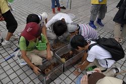 三春ダム管理所　近くの　向山森林公園で昆虫観察を行いました。<br />インストラクターの先生からカブトムシやクワガタの特性や集まりやすい木の種類などを教えていただきました。<br />当日は雨上がりだったせいか、なかなか虫を見つけることができず残念そうな子供たちでしたが、さくら湖周辺で観察できる虫の標本を見て、たくさんの種類の虫を確認していました。