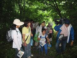 三春ダム管理所　近くの　向山森林公園で昆虫観察を行いました。<br />インストラクターの先生からカブトムシやクワガタの特性や集まりやすい木の種類などを教えていただきました。<br />当日は雨上がりだったせいか、なかなか虫を見つけることができず残念そうな子供たちでしたが、さくら湖周辺で観察できる虫の標本を見て、たくさんの種類の虫を確認していました。