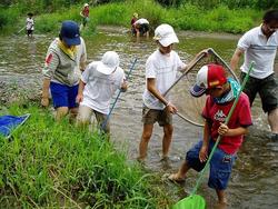 三春ダムに流れて来る大滝根川（柴原）に住む、水生生物を観察しました。<br />そっと川を見てみると魚たちが泳いでいる姿が見えました。<br />網を片手に水草の辺りを足でガサガサしてみるとコオニヤンマやオニヤンマなどのヤゴやドジョウ、トウヨシノボリなどの魚を捕ることができました。<br />漁協の方にも協力していただき投網でオイカワやハヤなどを捕っていただきました。産卵期のオイカワはきれいな青とオレンジ色をしていました。<br />最後に大滝根川に住んでいる水生生物の特徴や今日捕った魚やヤゴなどの飼い方などをインストラクターの先生から教えていただきました。