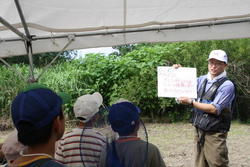 三春ダムの本川（大滝根川）に住む水生生物を観察しました。<br />子供たちは網を持って、水草や石の間をガサガサと足で誘き寄せていました。<br />時折、オイカワが群れになって足元を泳いでいく姿を見ることが出来ました。<br />ヤゴやシジミ、ドジョウやブラックバスの稚魚などたくさんの水生生物が見られました。<br />漁協の協力で投網も投げていただきました。オイカワやハヤの他に50cm以上のニゴイも網に掛かり子供たちは驚いていました。<br />最後に大滝根川に住んでいる水生生物の特徴や今日捕った魚やヤゴなどの飼い方などをインストラクターの先生から教えていただきました。