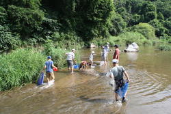 三春ダムの本川（大滝根川）に住む水生生物を観察しました。<br />子供たちは網を持って、水草や石の間をガサガサと足で誘き寄せていました。<br />時折、オイカワが群れになって足元を泳いでいく姿を見ることが出来ました。<br />ヤゴやシジミ、ドジョウやブラックバスの稚魚などたくさんの水生生物が見られました。<br />漁協の協力で投網も投げていただきました。オイカワやハヤの他に50cm以上のニゴイも網に掛かり子供たちは驚いていました。<br />最後に大滝根川に住んでいる水生生物の特徴や今日捕った魚やヤゴなどの飼い方などをインストラクターの先生から教えていただきました。