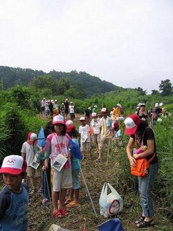 大滝根川の川の中に住む魚や水の底にいる水生生物を観察しました。<br />オニヤンマのヤゴやどじょう、オイカワなど<br />多くの水生生物を観察することができたようです。<br />思った以上に多くの生き物を身近に感じることができて驚いていました。