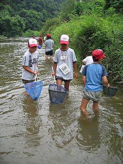 大滝根川の川の中に住む魚や水の底にいる水生生物を観察しました。<br />オニヤンマのヤゴやどじょう、オイカワなど<br />多くの水生生物を観察することができたようです。<br />思った以上に多くの生き物を身近に感じることができて驚いていました。