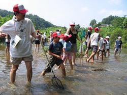 大滝根川の川の中に住む魚や水の底にいる水生生物を観察しました。<br />オニヤンマのヤゴやどじょう、オイカワなど<br />多くの水生生物を観察することができたようです。<br />思った以上に多くの生き物を身近に感じることができて驚いていました。