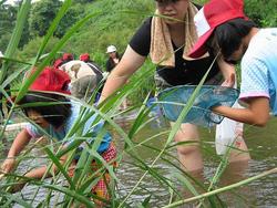 大滝根川の川の中に住む魚や水の底にいる水生生物を観察しました。<br />オニヤンマのヤゴやどじょう、オイカワなど<br />多くの水生生物を観察することができたようです。<br />思った以上に多くの生き物を身近に感じることができて驚いていました。