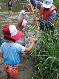 大滝根川の川の中に住む魚や水の底にいる水生生物を観察しました。<br />オニヤンマのヤゴやどじょう、オイカワなど<br />多くの水生生物を観察することができたようです。<br />思った以上に多くの生き物を身近に感じることができて驚いていました。