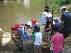 三春ダムの本川（大滝根川）に住む水生生物を観察しました。<br />はじめに、インストラクターさんより魚や昆虫の捕まえ方を教えてもらいました。<br />オイカワやトウヨシノボリ、オニヤンマなどの水生生物が見られ、エビを捕まえたご家族もいました。<br />最後には、ライフジャケットを身につけ、川の流を体験しました。