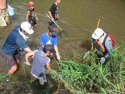 三春ダムの本川（大滝根川）に住む水生生物を観察しました。<br />はじめに、インストラクターさんより魚や昆虫の捕まえ方を教えてもらいました。<br />オイカワやトウヨシノボリ、オニヤンマなどの水生生物が見られ、エビを捕まえたご家族もいました。<br />最後には、ライフジャケットを身につけ、川の流を体験しました。