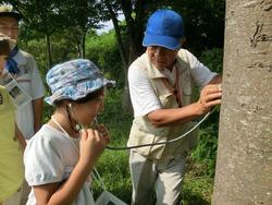 いろいろな植物を観察しながら歩き、三春の里田園生活館の駐車場でクラフト工作をしました。<br />葉っぱで船やお面などを作りました。その後、石畑水生生物観察園まで行き、笹舟を流したり、水生生物を観察しました。