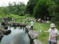 さくら湖に住む外来魚の解剖を行い、どんな生き物をエサにしているのか調べてみました！<br />自分で釣り竿を作り、石畑水生生物園内の池でザリガニ釣りも行いました。みんなたくさん釣れたようです。