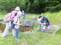 さくら湖に住む外来魚の解剖を行い、どんな生き物をエサにしているのか調べてみました！<br />自分で釣り竿を作り、石畑水生生物園内の池でザリガニ釣りも行いました。みんなたくさん釣れたようです。